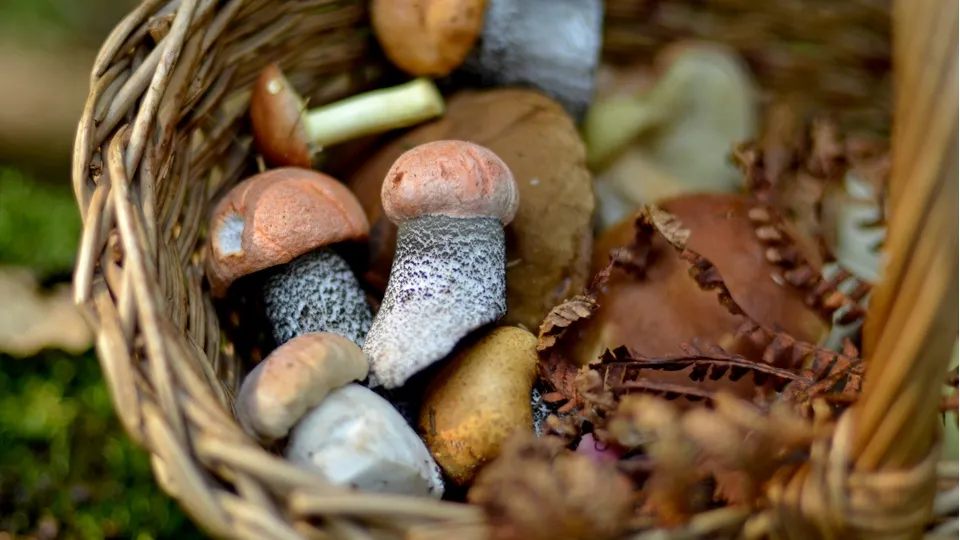 Фото: unsplash.com