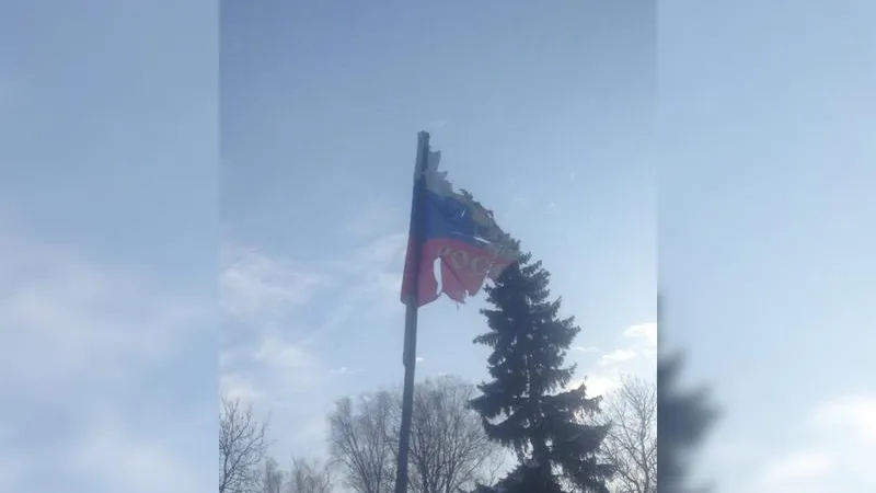 ЧП Дмитров/vk.com