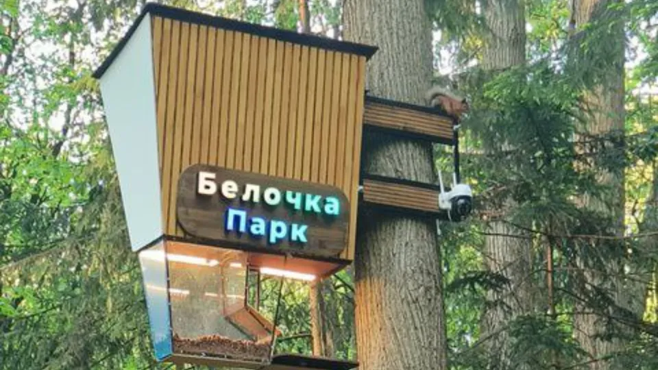 Фото: Александр Гуляев