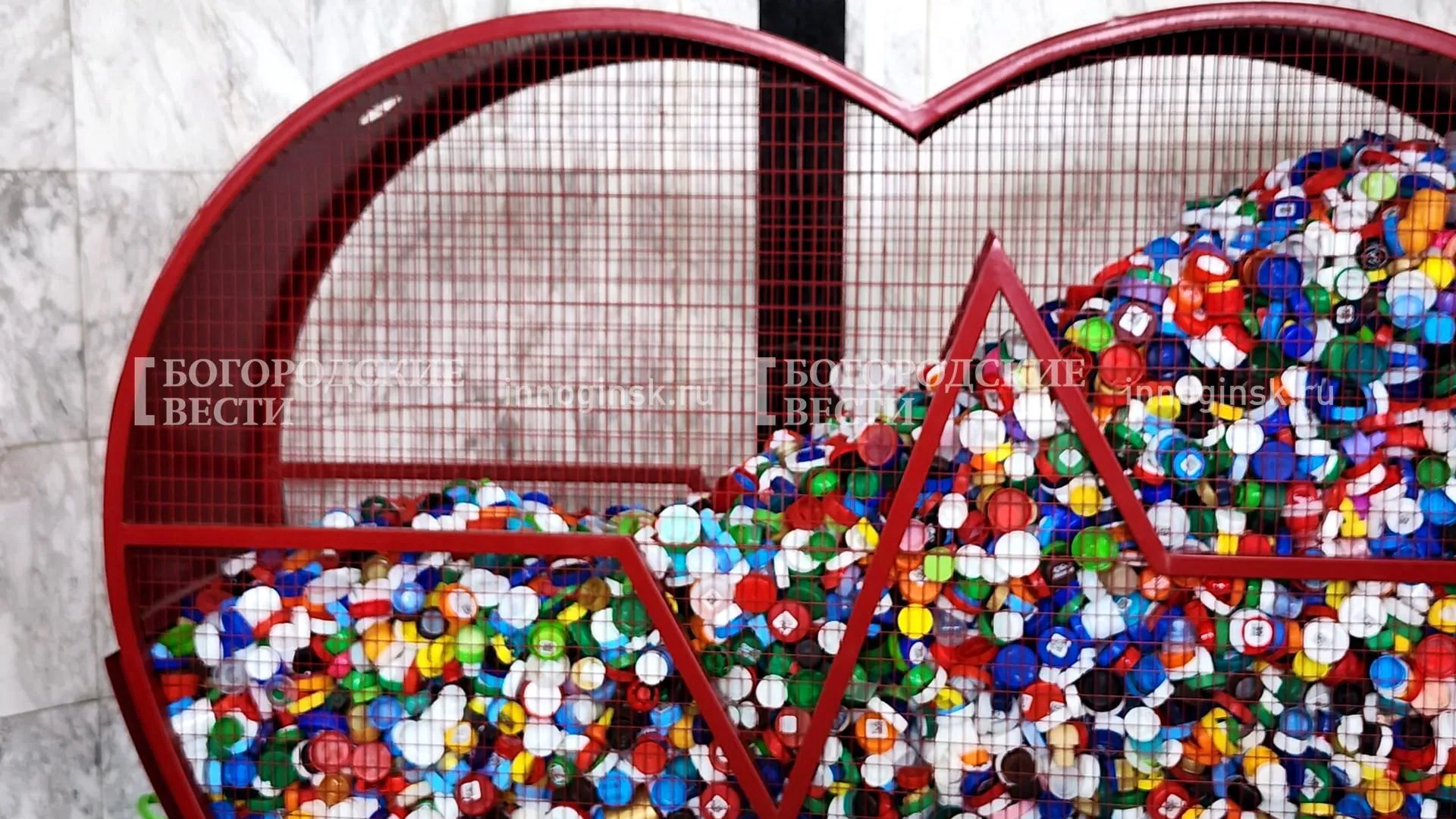 Фото: Ксения Пашуто