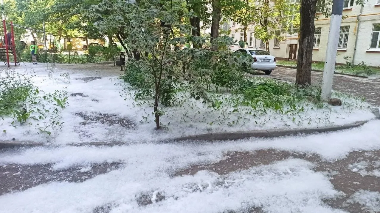 Фото: медиасток.рф