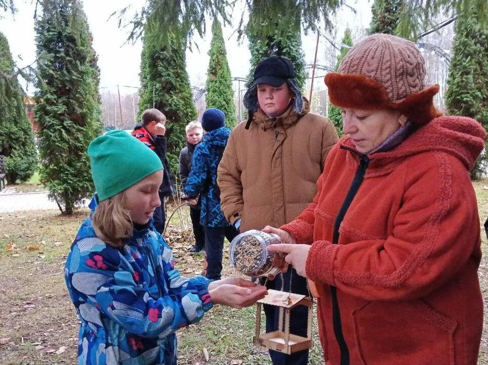Картинка