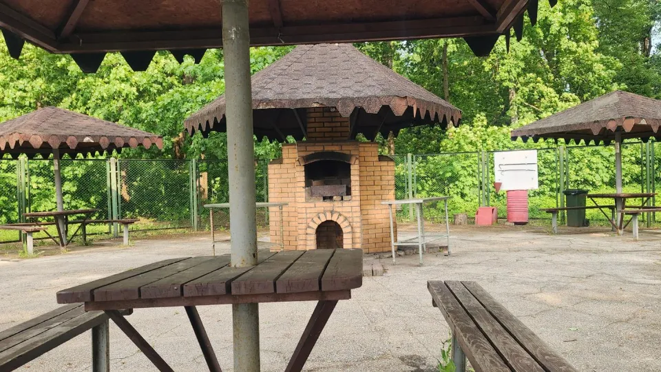 Фото: Хавива Фонина