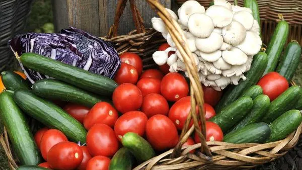 В Зарайске поделятся дарами осени