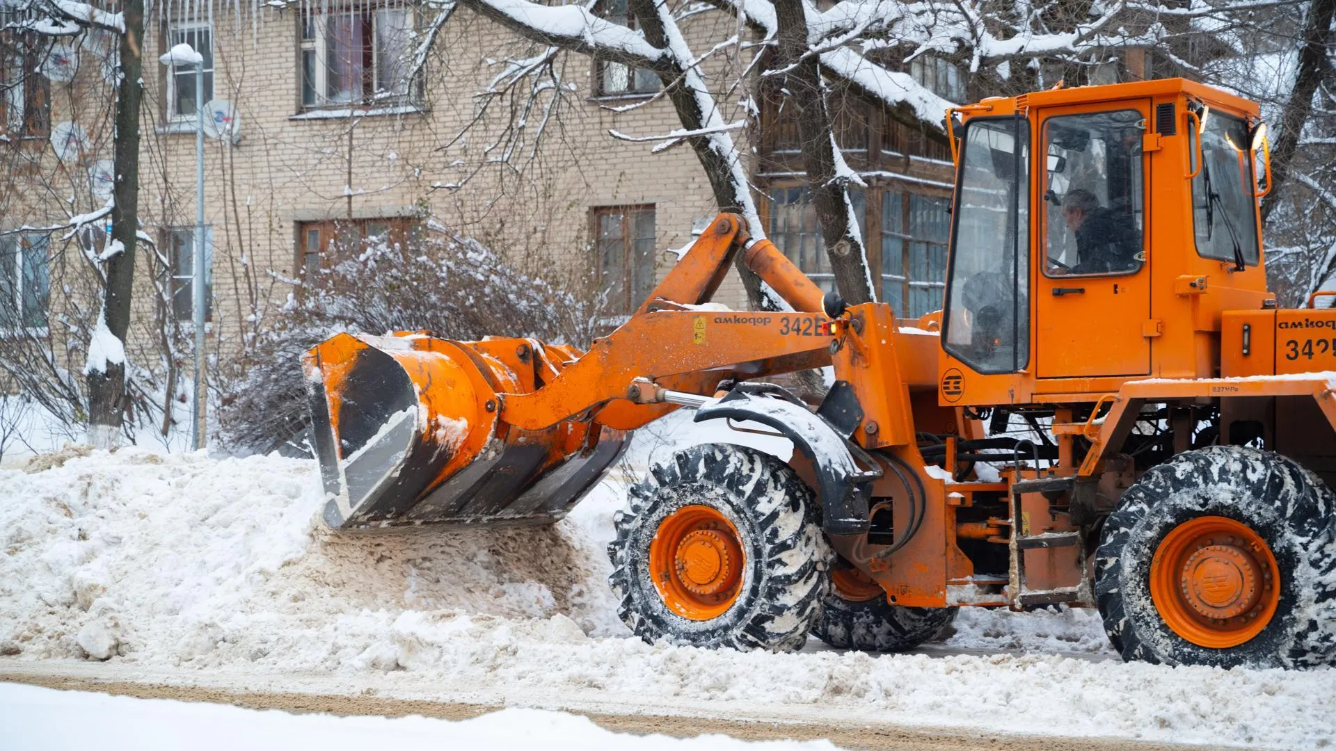 Фото, видео: Владимир Думчев