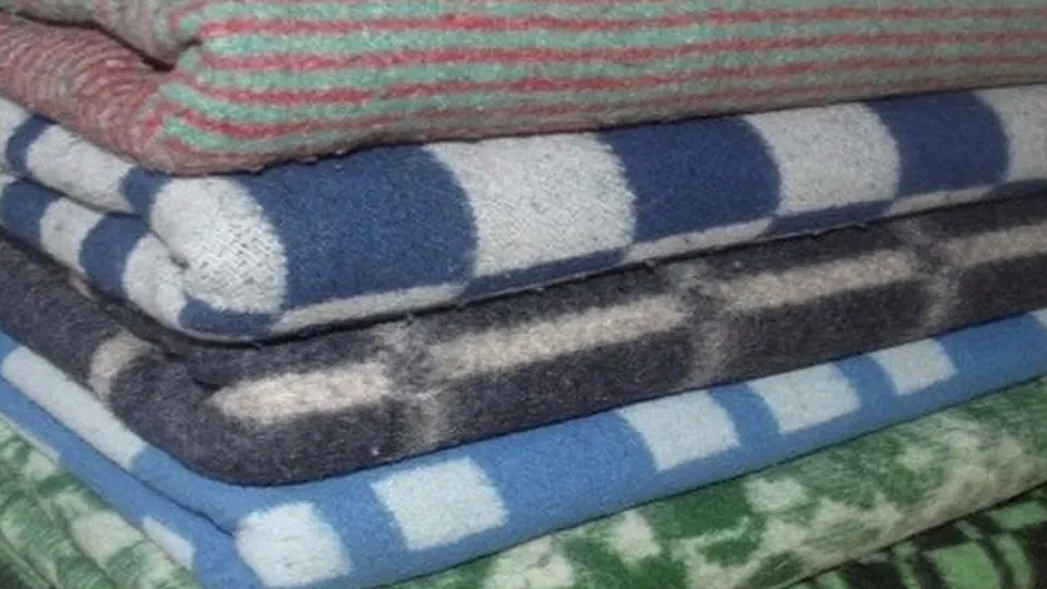 Фото: Лига молодых матерей Подмосковья