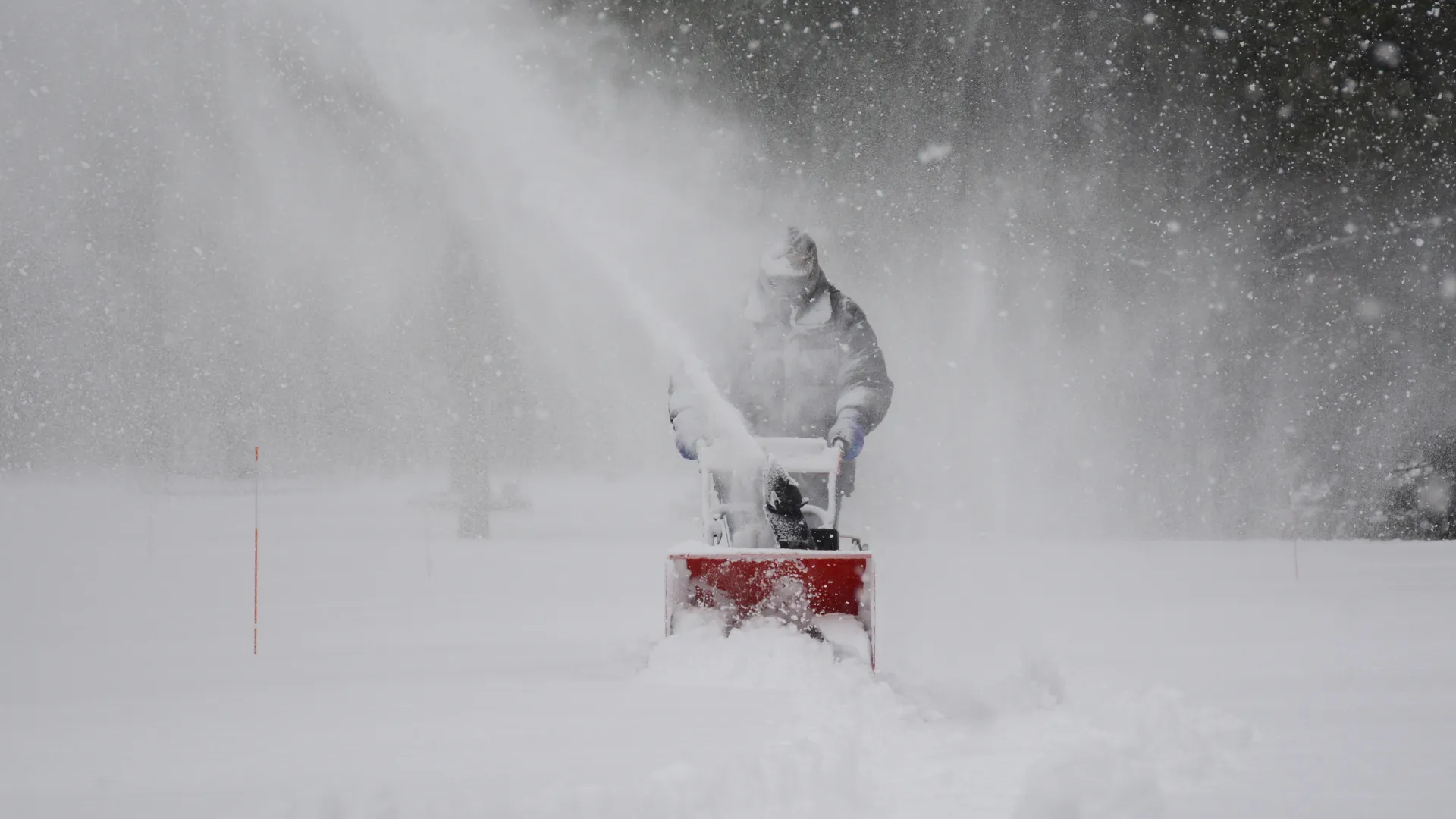 фото: pxhere.com