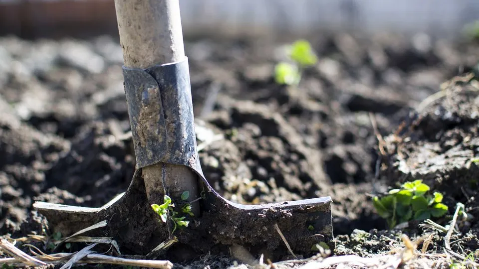 Фото: pxhere.com