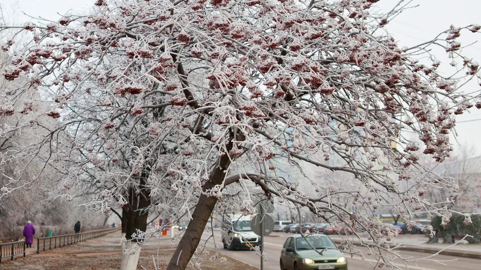 Фото: медиасток.рф