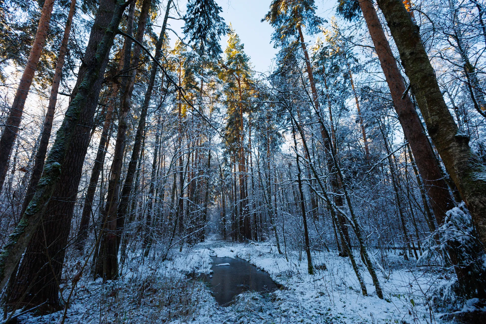 Зима наступила в Подмосковье