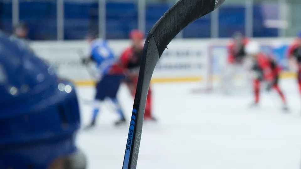 Фото: pxhere.com