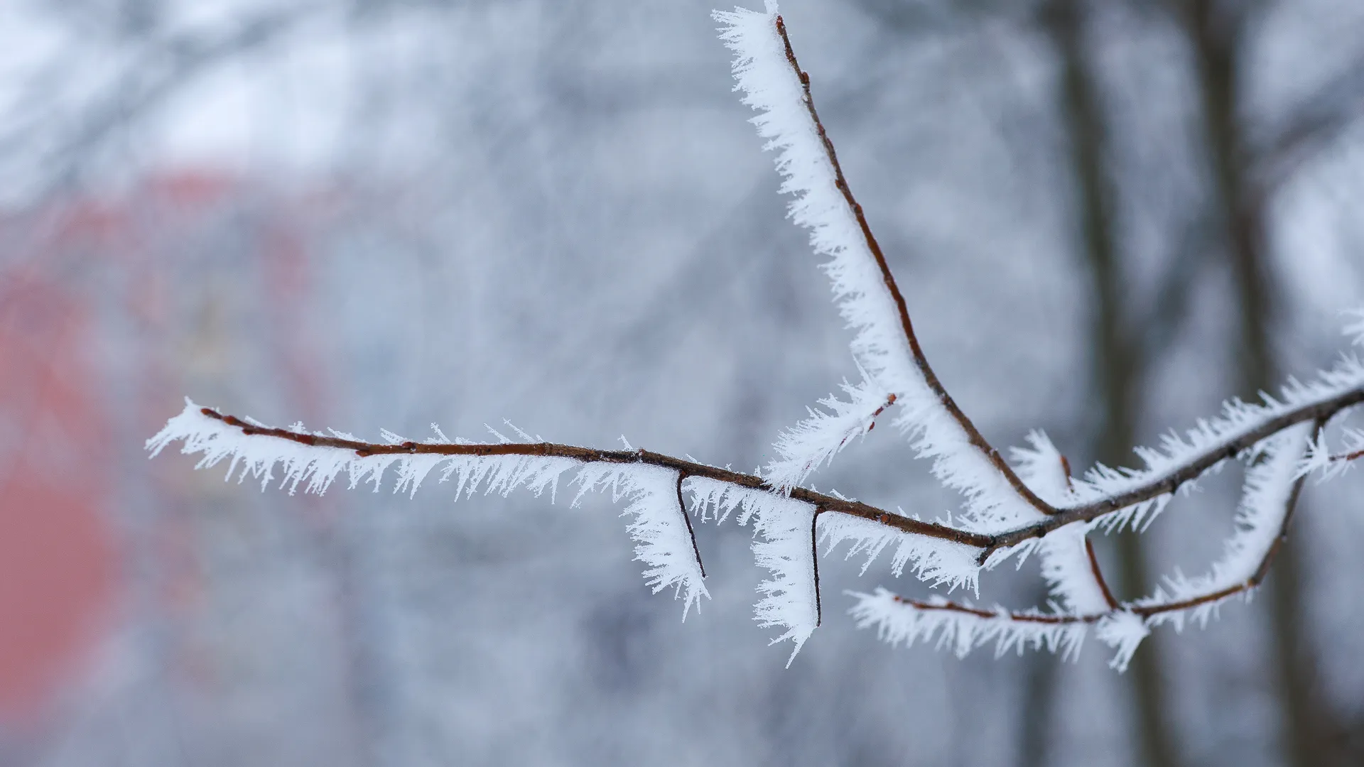 медиасток.рф