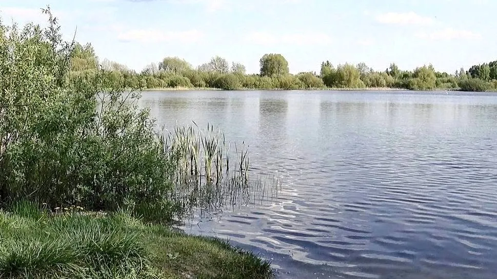 Фото: телеканал ВРТ