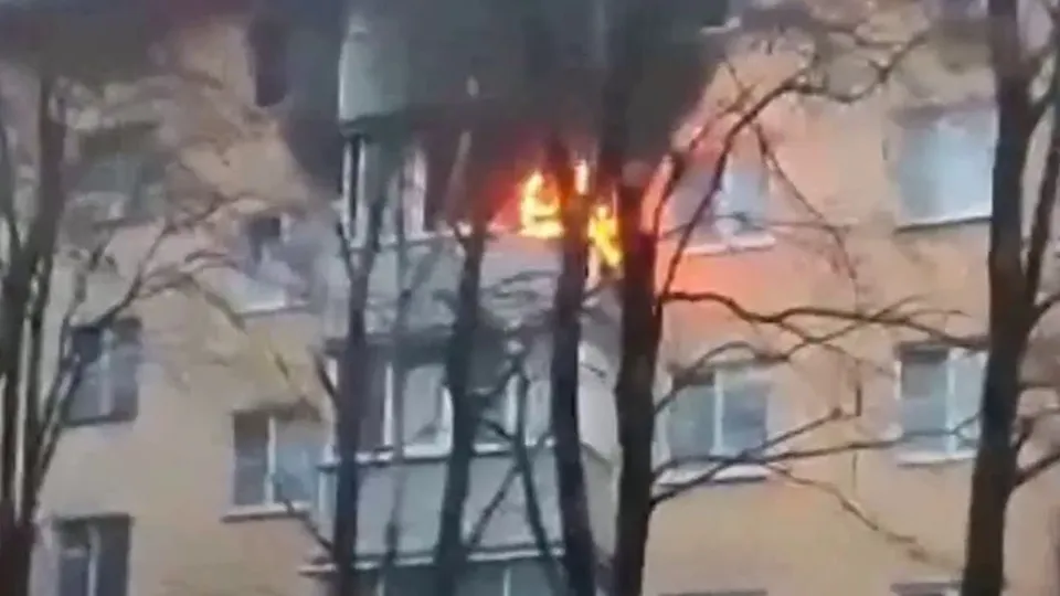 Фото: пресс-служба Росгвардии Московской области