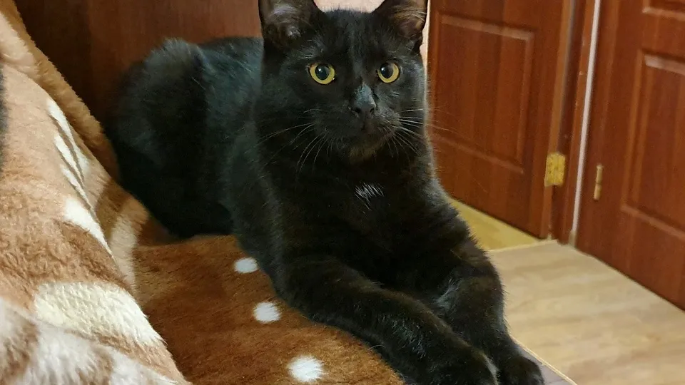 Фото: REGIONS/Александр Дрожжин