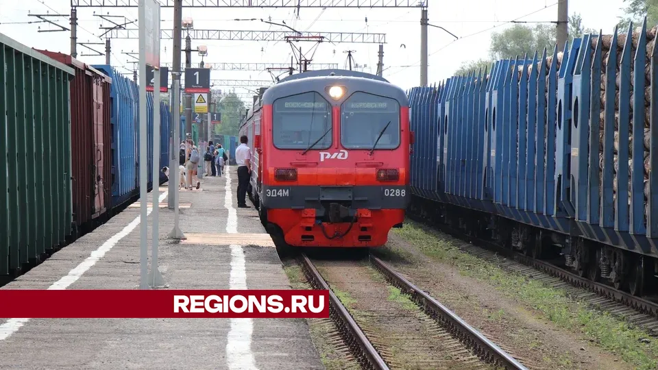 Фото: REGIONS/Василий Тремасов