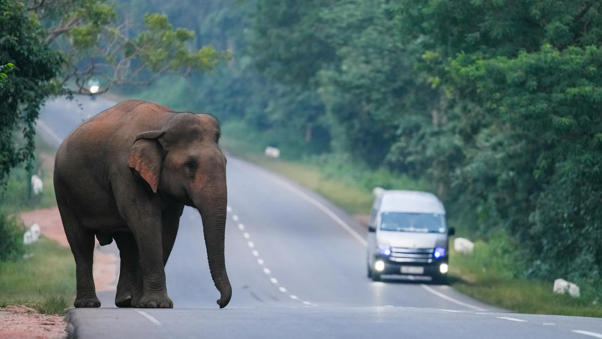 Thilina Kaluthotage/XinHua