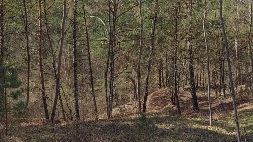 Фото: REGIONS/Наталия Надточая