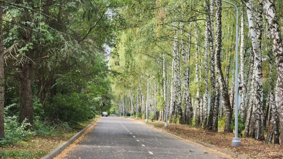 Фото: pxhere.com