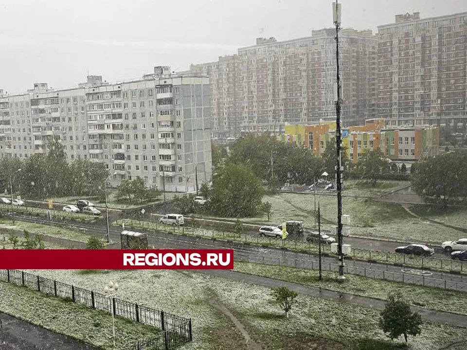 Фото: REGIONS/Ольга Тарасова