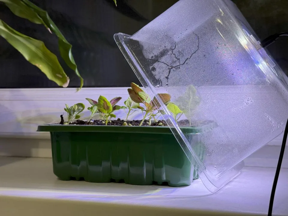 Фото: REGIONS/Илья Попов&nbsp;