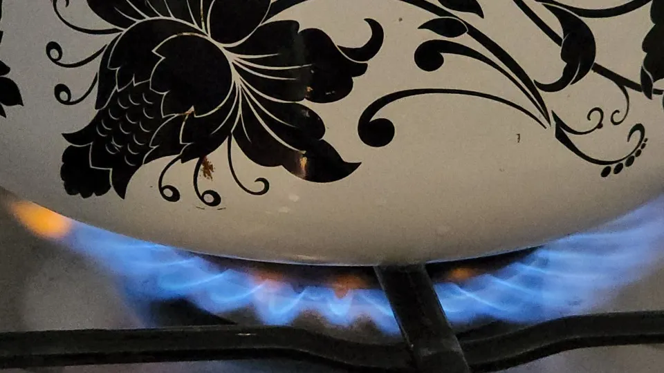 Фото: МедиаБанк Подмосковья/Юлия Андросова