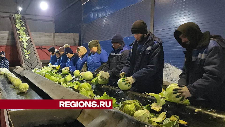 Фото: REGIONS/Валерий Гореловский