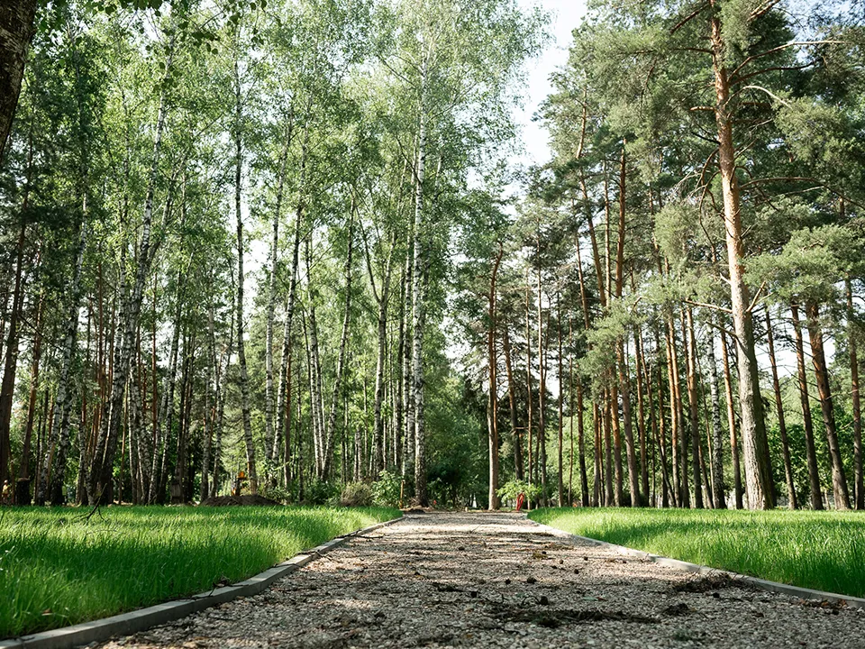 Летний парк Малаховка. Фото: пресс-служба губернатора и правительства Московской области
