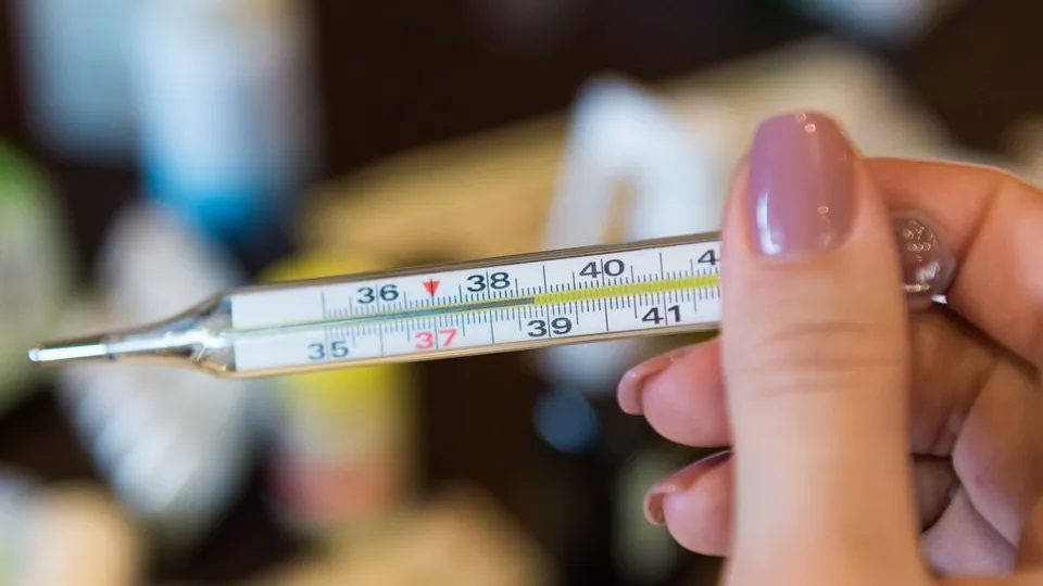 Фото: медиасток.рф