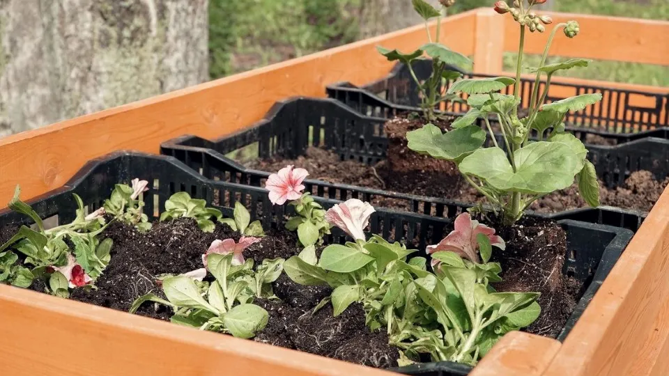 Фото: t.me/park_chekhov