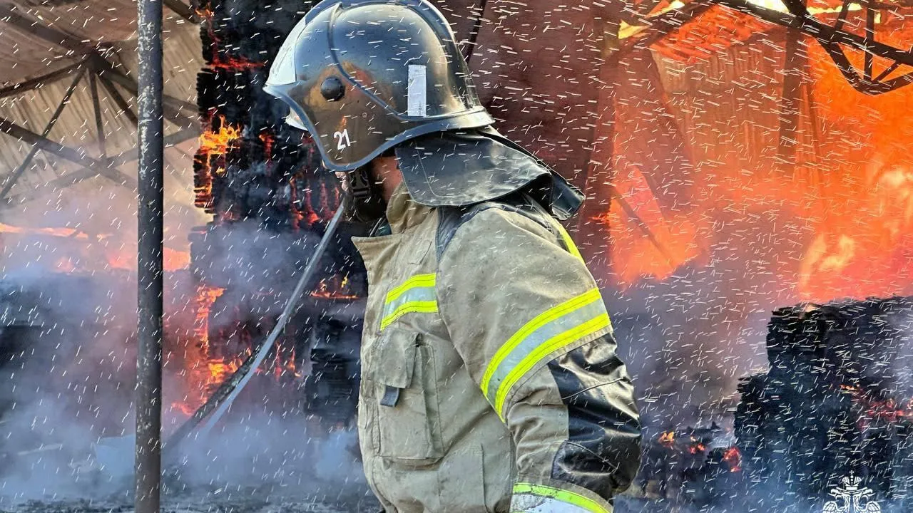 Пожар в ТЦ «Кузьмич» в Подмосковье охватил 900 кв. м