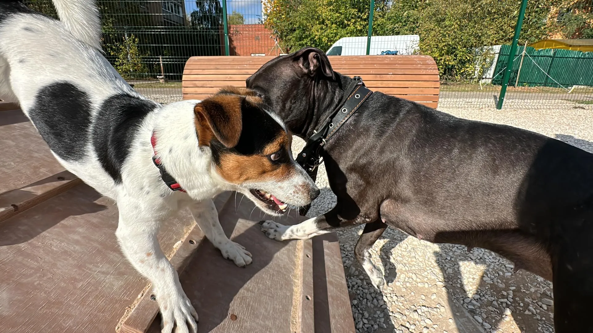 Мария Шматкова