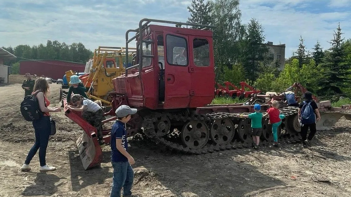 Фото: Комитет лесного хозяйства Московской области