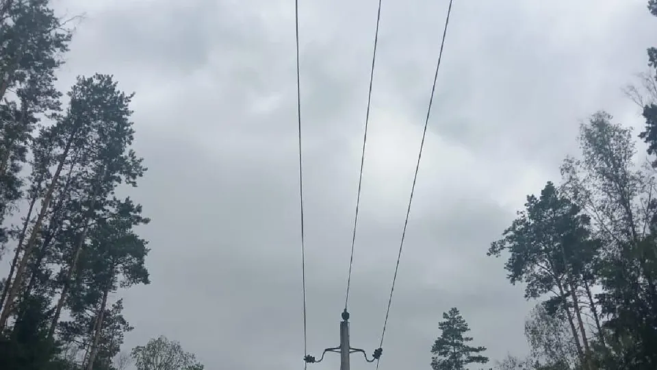 Фото: пресс-служба администрации м.о. Лотошино