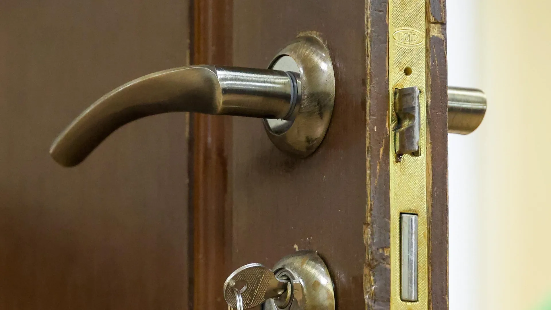 Belkin Alexey/news.ru