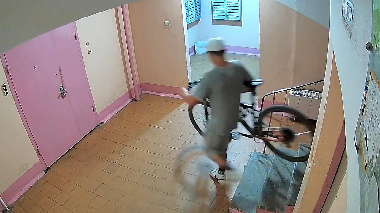 УМВД по г.о. Жуковский