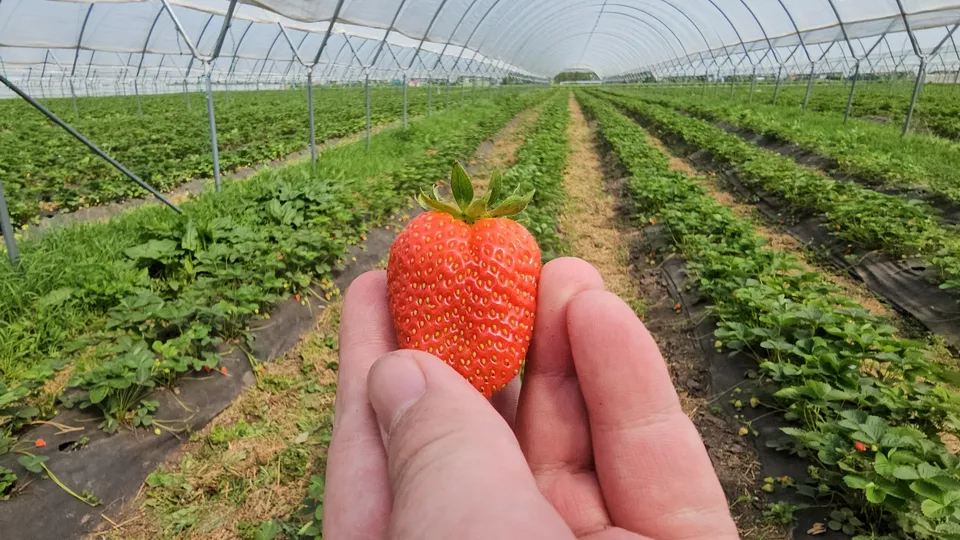 Фото: REGIONS/Александр Дрожжин