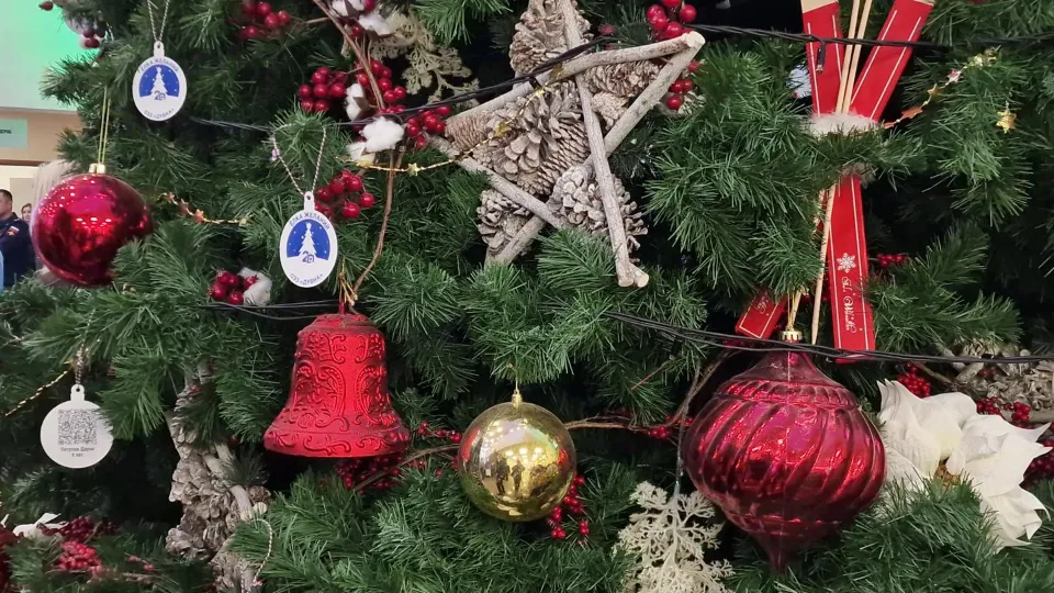 Фото: REGIONS/Анастасия Игнатова