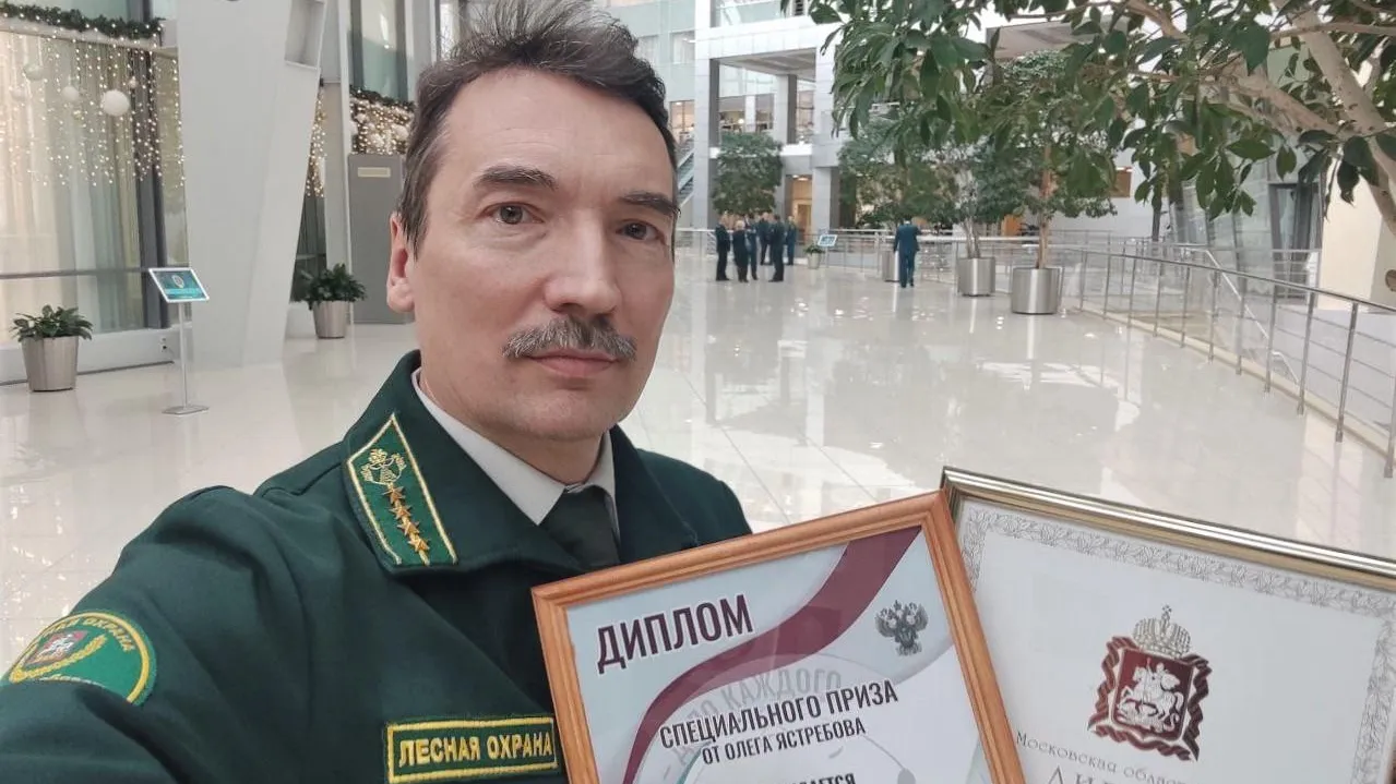 фото: Комитет лесного хозяйства Московской области