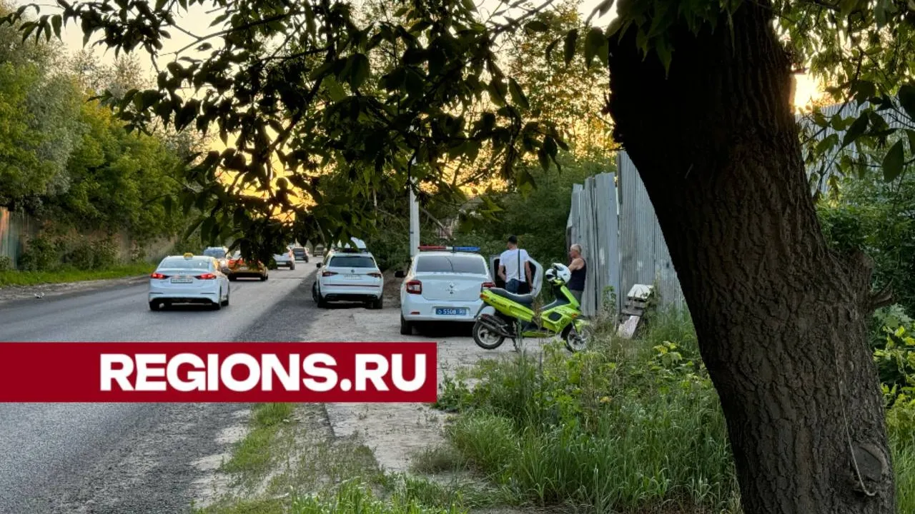 Фото: REGIONS/Илья Попов