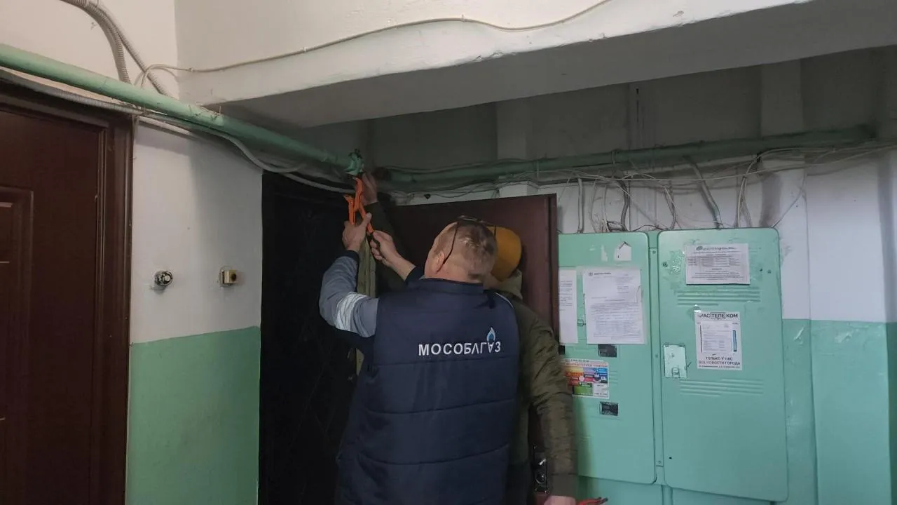 REGIONS/Екатерина Мелкозерова