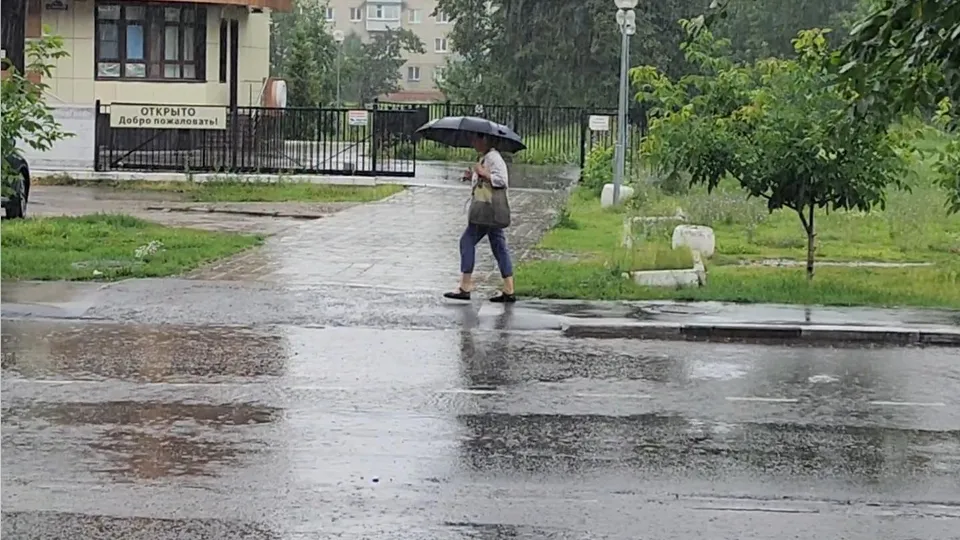 Фото: Ксения Пашуто