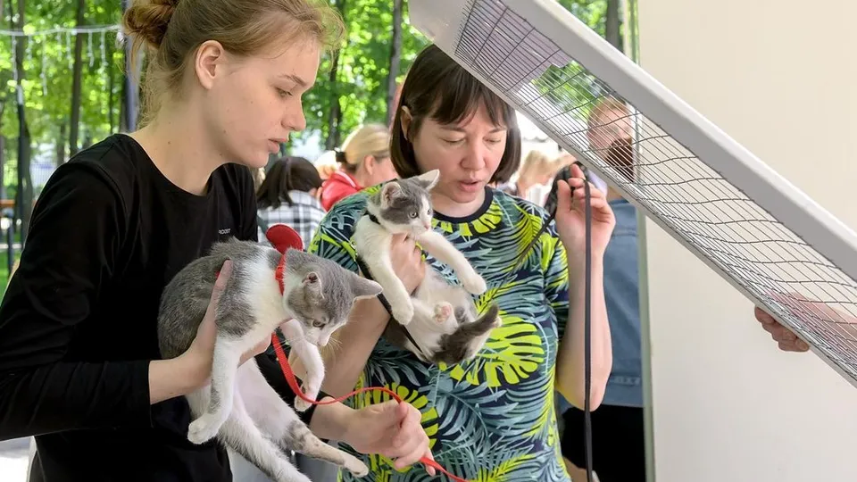 Фото: пресс-служба администрации г.о. Подольск