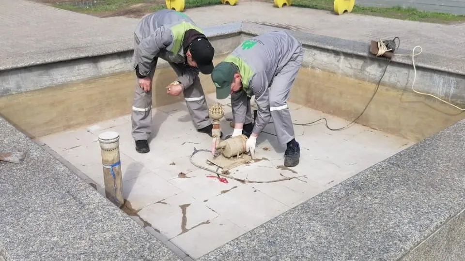 Фото: «Служба содержания и благоустройства территории»