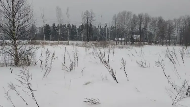 Единый портал торгов Московской области ЕАСУЗ