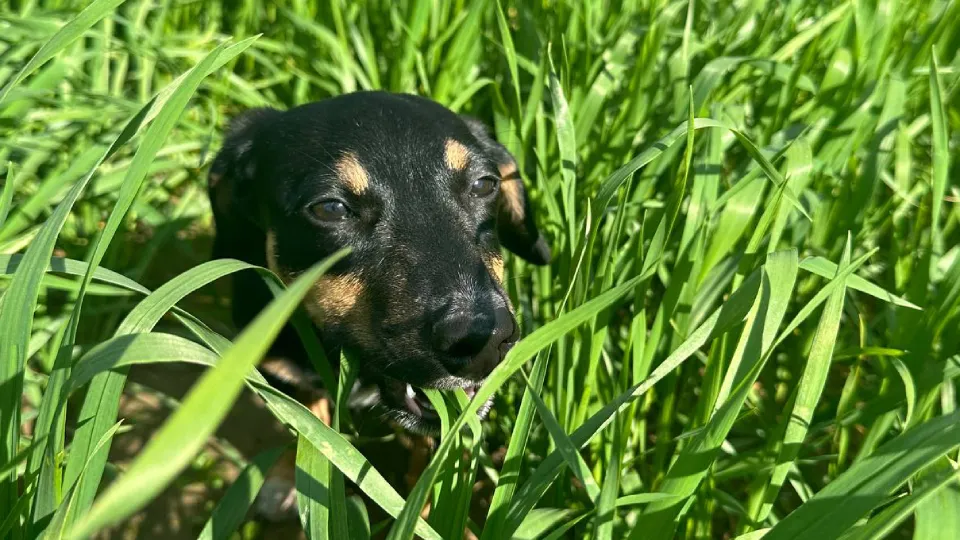 Фото: REGIONS/Александра Серова