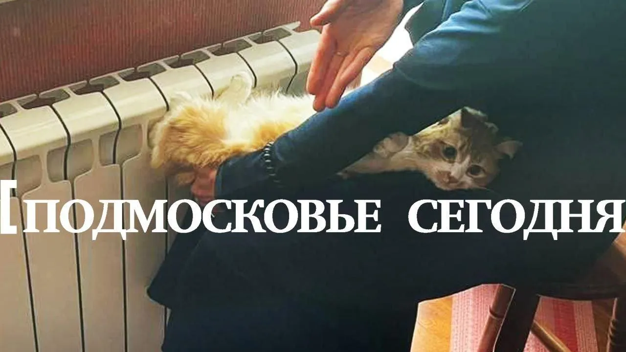 Подмосковье сегодня