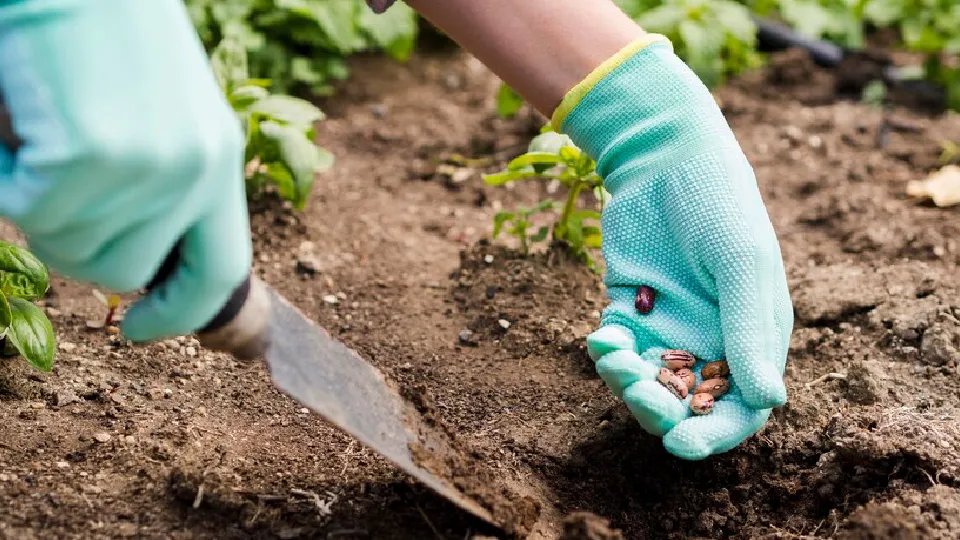 Фото: freepik.com