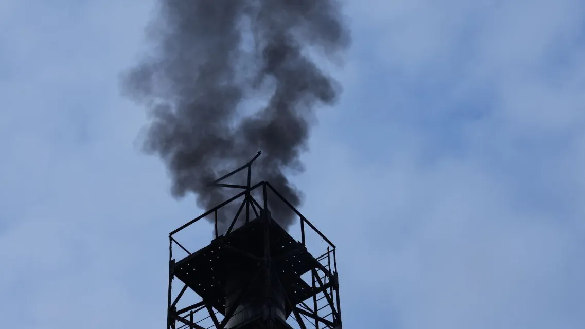 Фото: МедиаБанк Подмосковья/Дмитрий Зайчиков