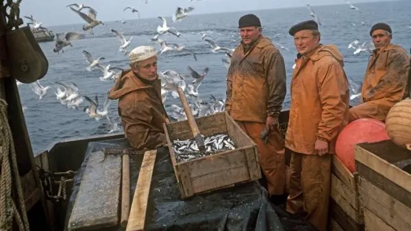 Латвийские рыбаки, оставшиеся без работы, перебрались в Россию